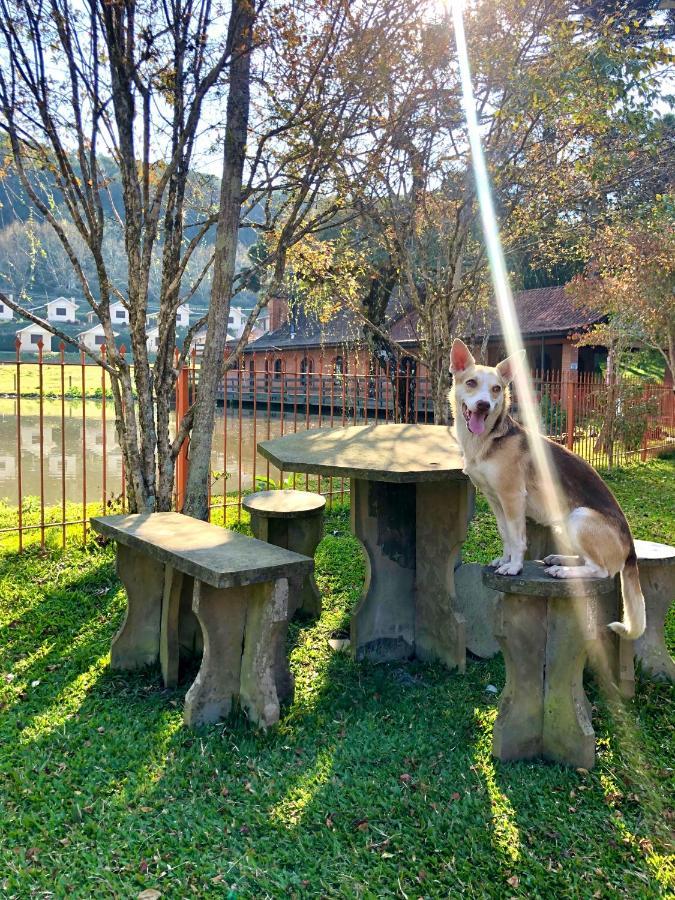 Pousada Parque Das Pitangueiras Flores da Cunha Εξωτερικό φωτογραφία