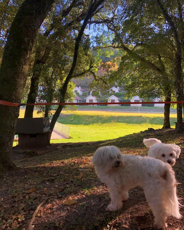 Pousada Parque Das Pitangueiras Flores da Cunha Εξωτερικό φωτογραφία
