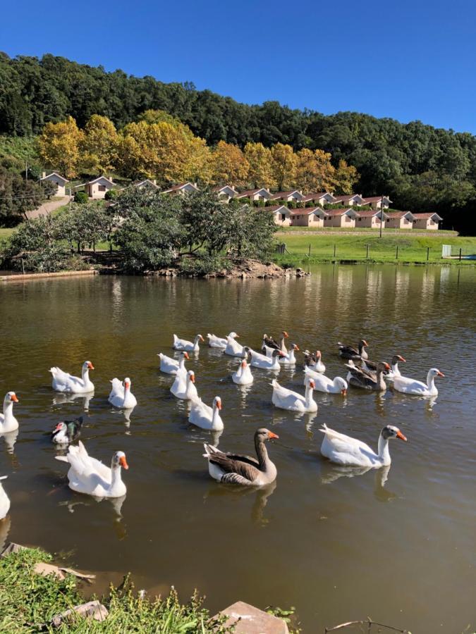 Pousada Parque Das Pitangueiras Flores da Cunha Εξωτερικό φωτογραφία