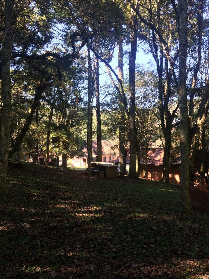 Pousada Parque Das Pitangueiras Flores da Cunha Εξωτερικό φωτογραφία
