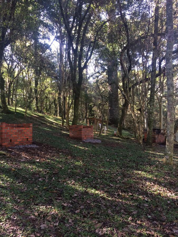 Pousada Parque Das Pitangueiras Flores da Cunha Εξωτερικό φωτογραφία