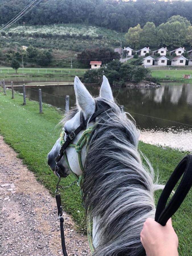 Pousada Parque Das Pitangueiras Flores da Cunha Εξωτερικό φωτογραφία